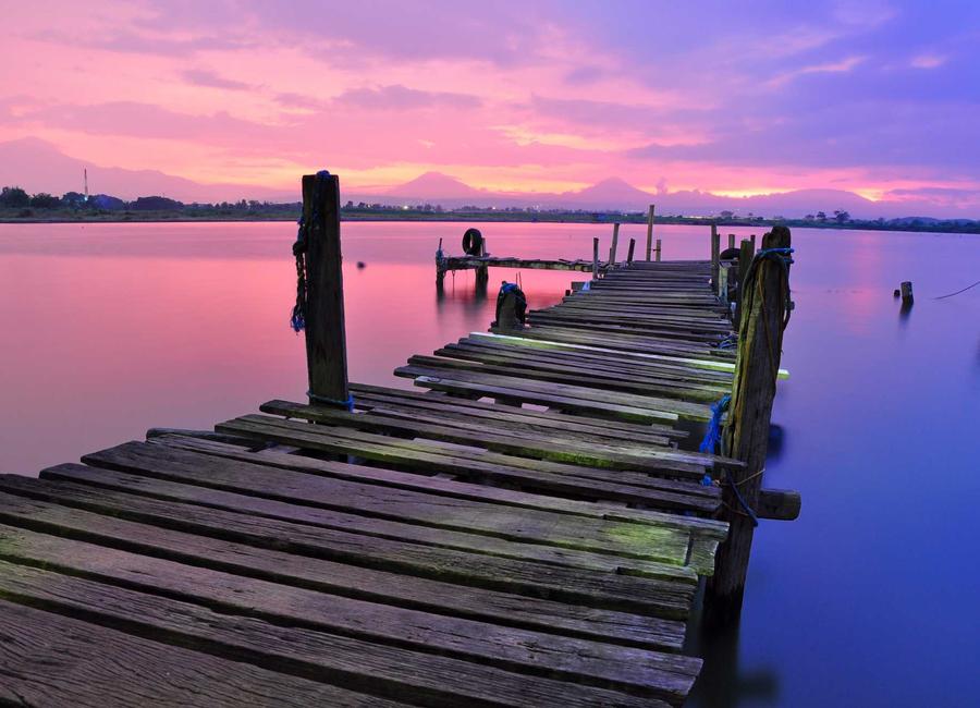 Why Choose Nexamize - chiropractor marketing agency in Gainesville, FL Gainesville